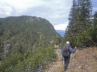 Geiger (234 Bildaufrufe)