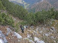 Geiger (215 Bildaufrufe)
