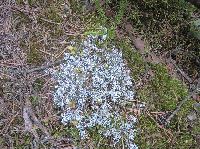 Bild 25 (209 Bildaufrufe)