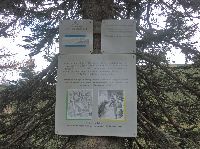 Bild 28 (187 Bildaufrufe)