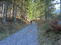 Bild 2 (241 Bildaufrufe)