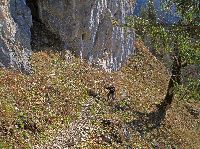 Bild 7 (229 Bildaufrufe)