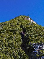 Bild 13 (276 Bildaufrufe)