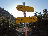 Bild 20 (272 Bildaufrufe)