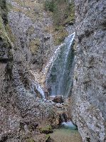 Bild 1 (225 Bildaufrufe)