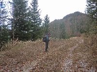 Gr.Zellerhut (240 Bildaufrufe)