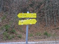 Bild 3 (330 Bildaufrufe)