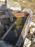 Bild 11 (238 Bildaufrufe)