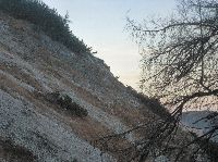Bild 19 (249 Bildaufrufe)