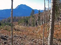 Bild 4 (257 Bildaufrufe)