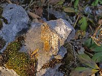Bild 7 (195 Bildaufrufe)