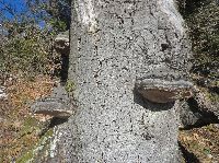 Bild 15 (240 Bildaufrufe)