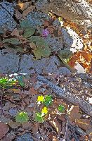 Bild 16 (240 Bildaufrufe)