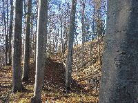 Brandmauer (231 Bildaufrufe)