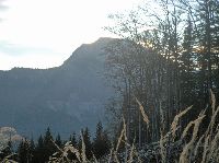 Bild 22 (211 Bildaufrufe)