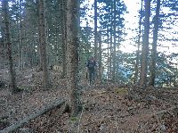 Bild 23 (209 Bildaufrufe)