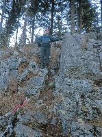Bild 29 (215 Bildaufrufe)