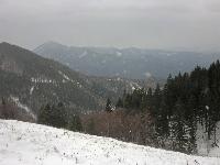 Bild 1 (269 Bildaufrufe)