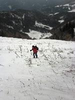Bild 2 (264 Bildaufrufe)