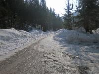 Bild 2 (245 Bildaufrufe)
