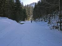 Bild 5 (245 Bildaufrufe)