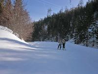 Bild 6 (263 Bildaufrufe)