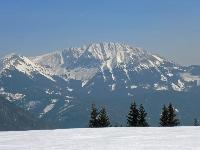 Bild 19 (223 Bildaufrufe)