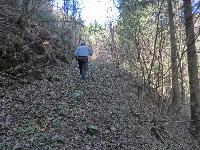 Bild 4 (194 Bildaufrufe)