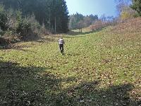 Bild 5 (225 Bildaufrufe)