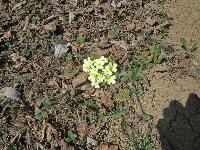 Bild 6 (197 Bildaufrufe)