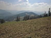 Bild 7 (168 Bildaufrufe)