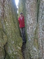 Bild 13 (202 Bildaufrufe)