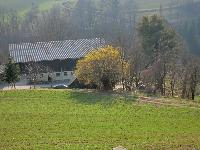 Bild 27 (184 Bildaufrufe)