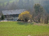 Bichlberg (179 Bildaufrufe)