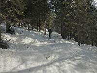 Bild 7 (232 Bildaufrufe)