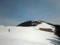 Wildalpe (218 Bildaufrufe)
