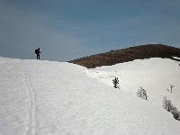 Bild 10 (202 Bildaufrufe)