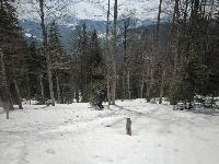 Bild 19 (210 Bildaufrufe)
