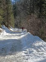 Bild 23 (269 Bildaufrufe)