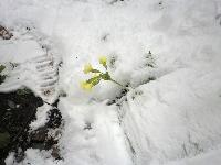 Bild 8 (231 Bildaufrufe)