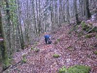 Schnabelstein (249 Bildaufrufe)