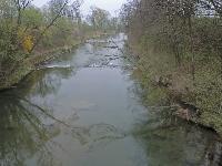 Bild 2 (279 Bildaufrufe)