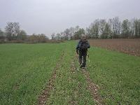 Bild 4 (179 Bildaufrufe)