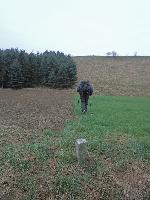 Bild 6 (191 Bildaufrufe)