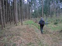 Bild 10 (251 Bildaufrufe)