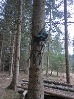 Bild 12 (216 Bildaufrufe)