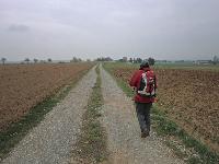 Bild 17 (230 Bildaufrufe)
