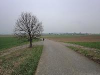 Bild 22 (210 Bildaufrufe)
