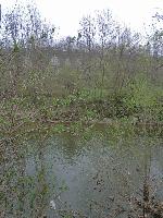 Bild 23 (198 Bildaufrufe)