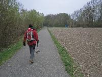 Bild 24 (213 Bildaufrufe)